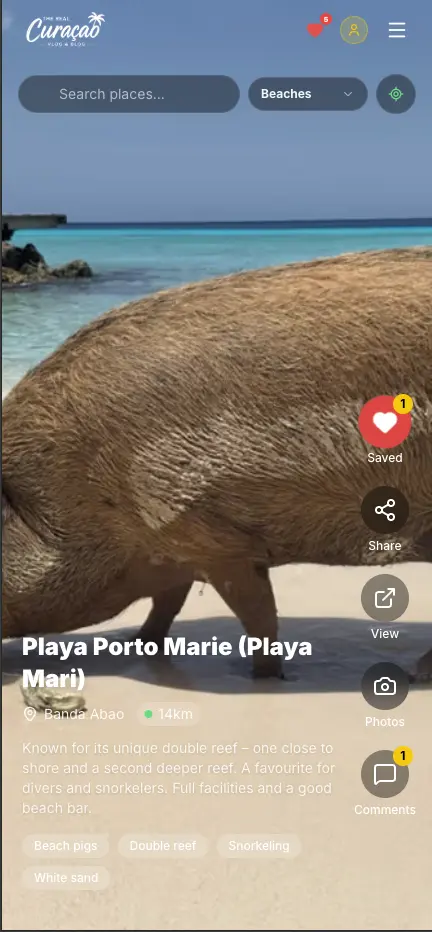 Discover feed preview