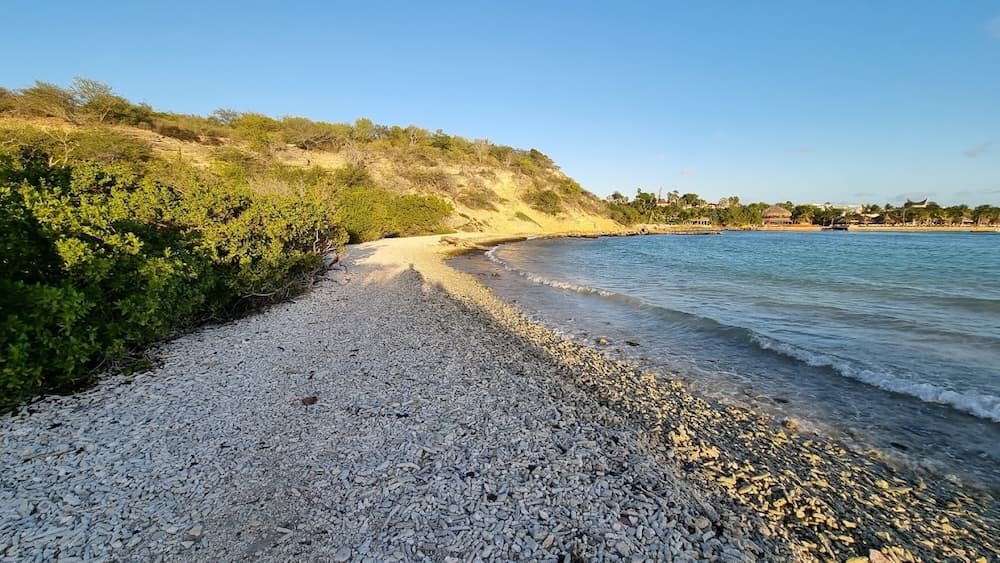 Doggy Beach Curacao